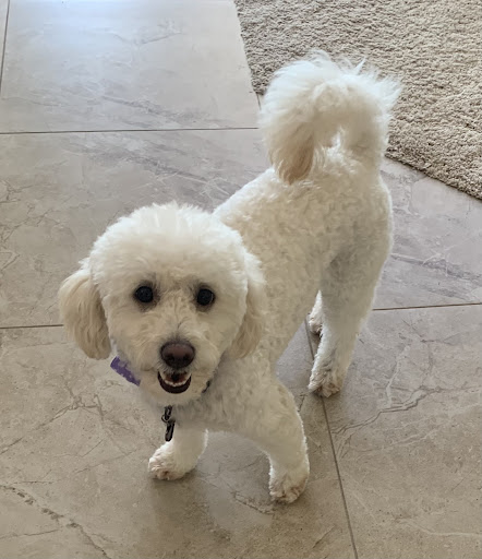 Plumber «Plumbing Masters», reviews and photos, 9299 W Olive Ave #207, Peoria, AZ 85345, USA