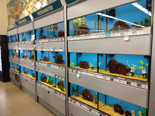 Pet Supply Store «Petco Animal Supplies», reviews and photos, 22000 Dulles Retail Plaza #110, Sterling, VA 20166, USA