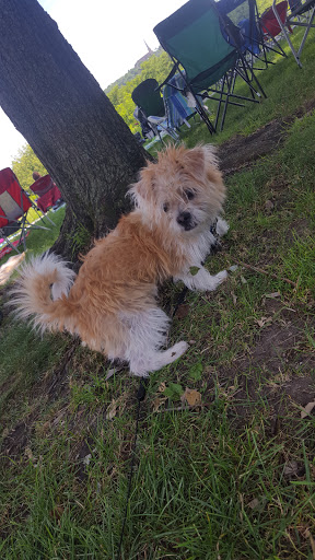 Park «Pioneer Park», reviews and photos, 515 2nd St N, Stillwater, MN 55082, USA