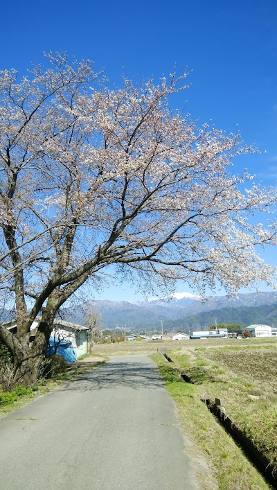 十二天の森