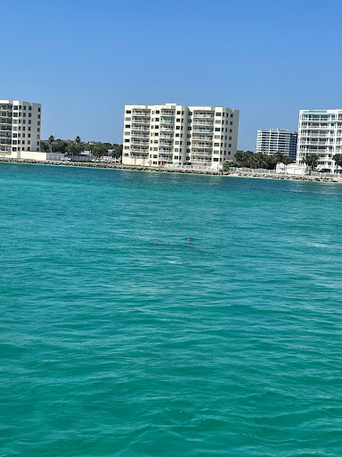 Sightseeing Tour Agency «Southern Star Dolphin Cruises», reviews and photos, 100 Harbor Blvd, Destin, FL 32541, USA