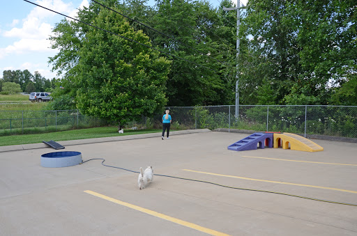 Pet Boarding Service «Pet Palace», reviews and photos, 2803 Trough Springs Rd, Clarksville, TN 37043, USA