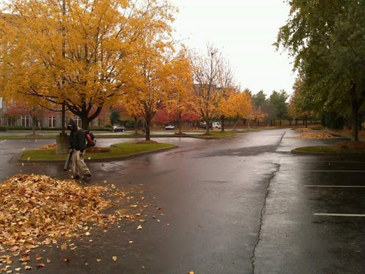 Liquor Store «Mill Creek Discount Liquors», reviews and photos, 1664 Antioch Pike, Antioch, TN 37013, USA