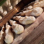 Photo n° 5 de l'avis de Paintball.� fait le 11/09/2021 à 16:16 pour Boulangerie Patisserie le petit Robert à Pouzolles