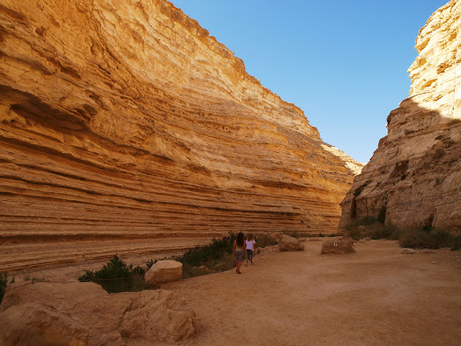 The Negev Foundation