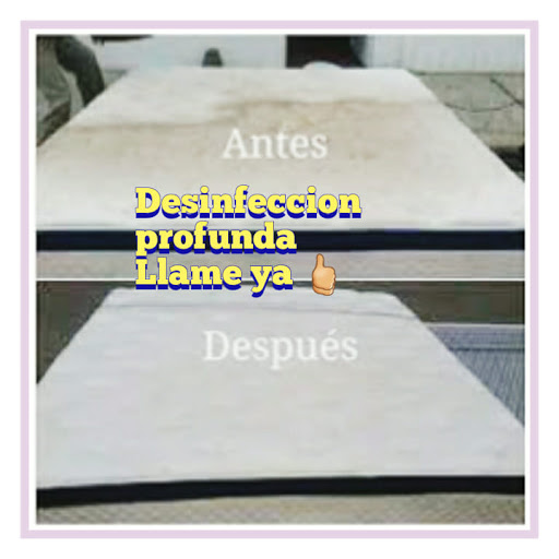 RC ALFOMBRAS