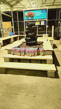 Lowe's Garden Center - Photo 3 - Car repair in Van Buren, AR, Fort Smith