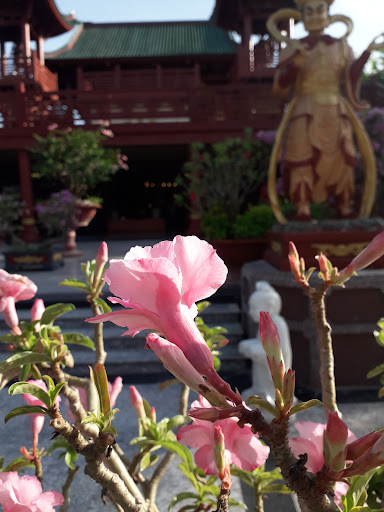 Top 20 mẫu cửa hàng đẹp Huyện Tịnh Biên An Giang 2022