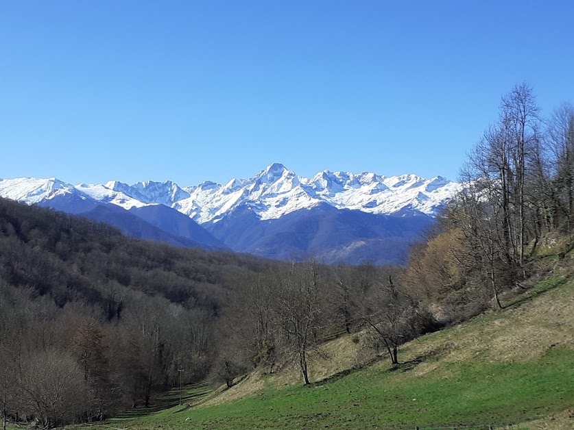 La grange de marie hameau de biech aleu 09320 à Aleu (Ariège 09)