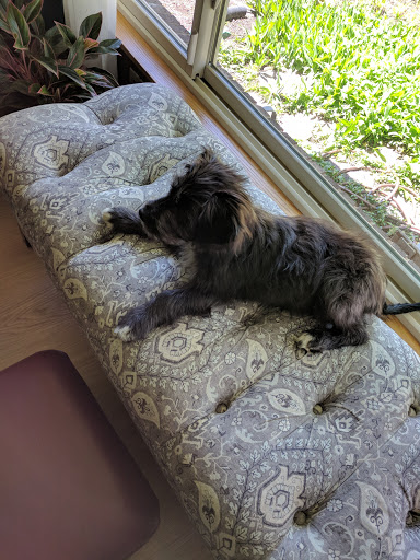 Pet Supply Store «Petco Animal Supplies», reviews and photos, 2277 Ford Pkwy, St Paul, MN 55116, USA