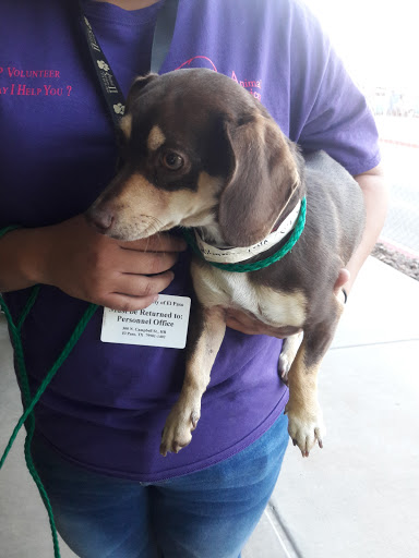 Animal Shelter «Humane Society of El Paso», reviews and photos