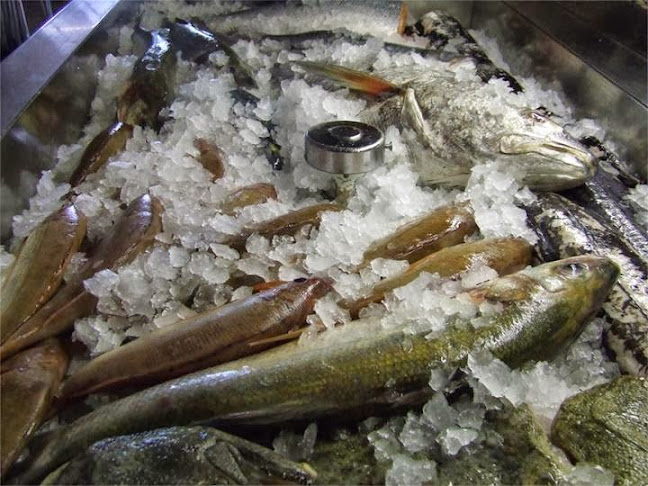 Marisqueira Sardinha | Cervejaria | Restaurante | - Guarda