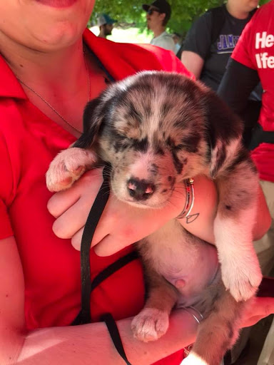 Auto Insurance Agency «State Farm: Melanie Stone», reviews and photos