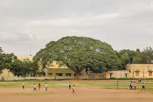 Bhagat Singh Stadium image