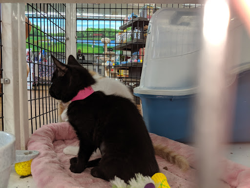 Pet Supply Store «Pet Supermarket», reviews and photos, 4500 N State Rd 7, Pompano Beach, FL 33073, USA