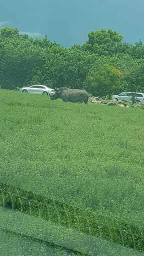 Private Golf Course «Adios Golf Course», reviews and photos, 7740 NW 39th Ave, Coconut Creek, FL 33073, USA