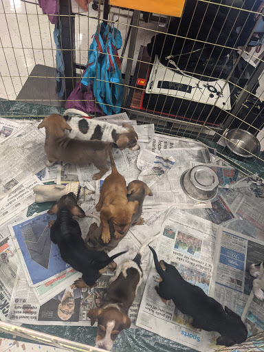 Pet Supply Store «Petco Animal Supplies», reviews and photos, 1331 Hooper Ave, Toms River, NJ 08753, USA