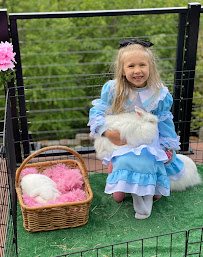 Dreamland Ponies - Photo 8 - Car repair in Covington, WA, Tacoma