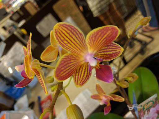 Grocery Store «Ralphs», reviews and photos, 1666 Rosecrans St, San Diego, CA 92106, USA