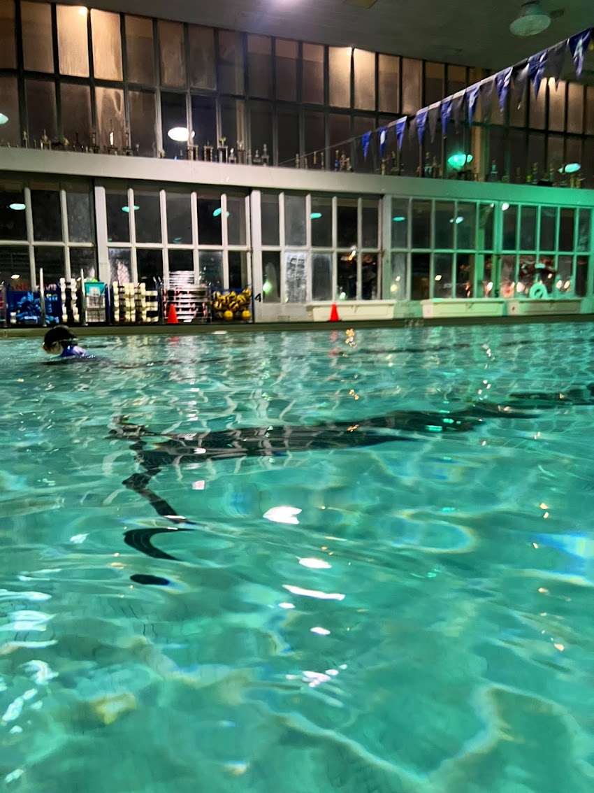 Photo of Welles Park Pool (Indoor) in Chicago