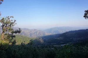 Kausani Tea Estate image