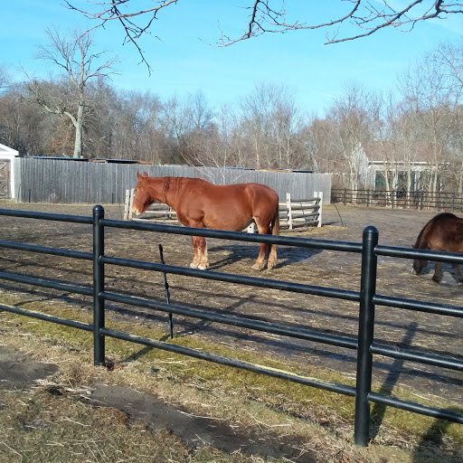 Zoo «Buttonwood Park Zoo», reviews and photos, 425 Hawthorn St, New Bedford, MA 02740, USA