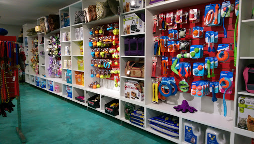  «Animal Crackers», reviews and photos, 280 NE 2nd St, Miami, FL 33132, USA