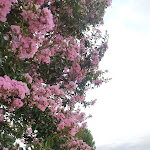 Photo n°3 de l'avis de Sasha.i fait le 31/07/2023 à 20:53 sur le  Autogrill Postumia Nord à Bolzano Vicentino