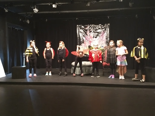 Performing Arts Theater «Chicago Street Theatre», reviews and photos, 154 W Chicago St, Valparaiso, IN 46383, USA