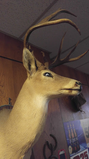 Bowling Alley «Highland Lanes», reviews and photos, 8909 Burnet Rd, Austin, TX 78757, USA