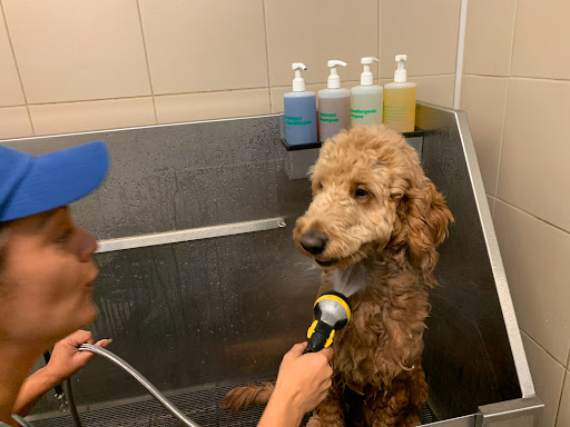 Pet Supply Store «Pet Supplies Plus», reviews and photos, 803 Hillcrest Rd, Mobile, AL 36695, USA