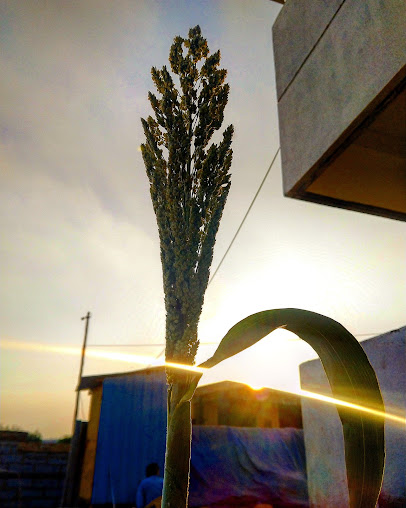 Google Maps image 13