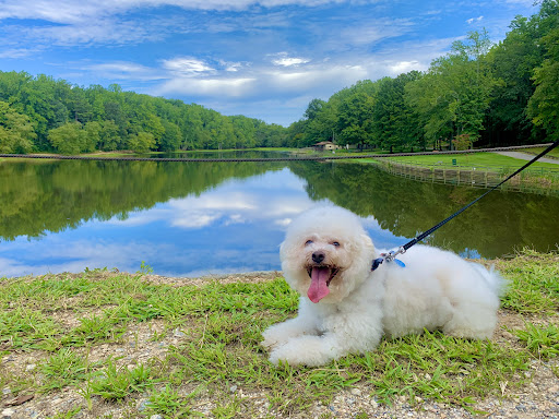 Park «Louise F Cosca Regional Park», reviews and photos, 11000 Thrift Rd, Clinton, MD 20735, USA