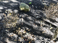 Schill Grounds Management - Photo 4 - Car repair in North Ridgeville, OH, Lorain