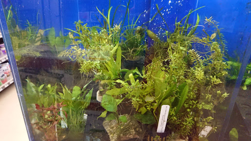 Pet Supply Store «Petco Animal Supplies», reviews and photos, 3401 Pineville-Matthews Rd, Charlotte, NC 28226, USA