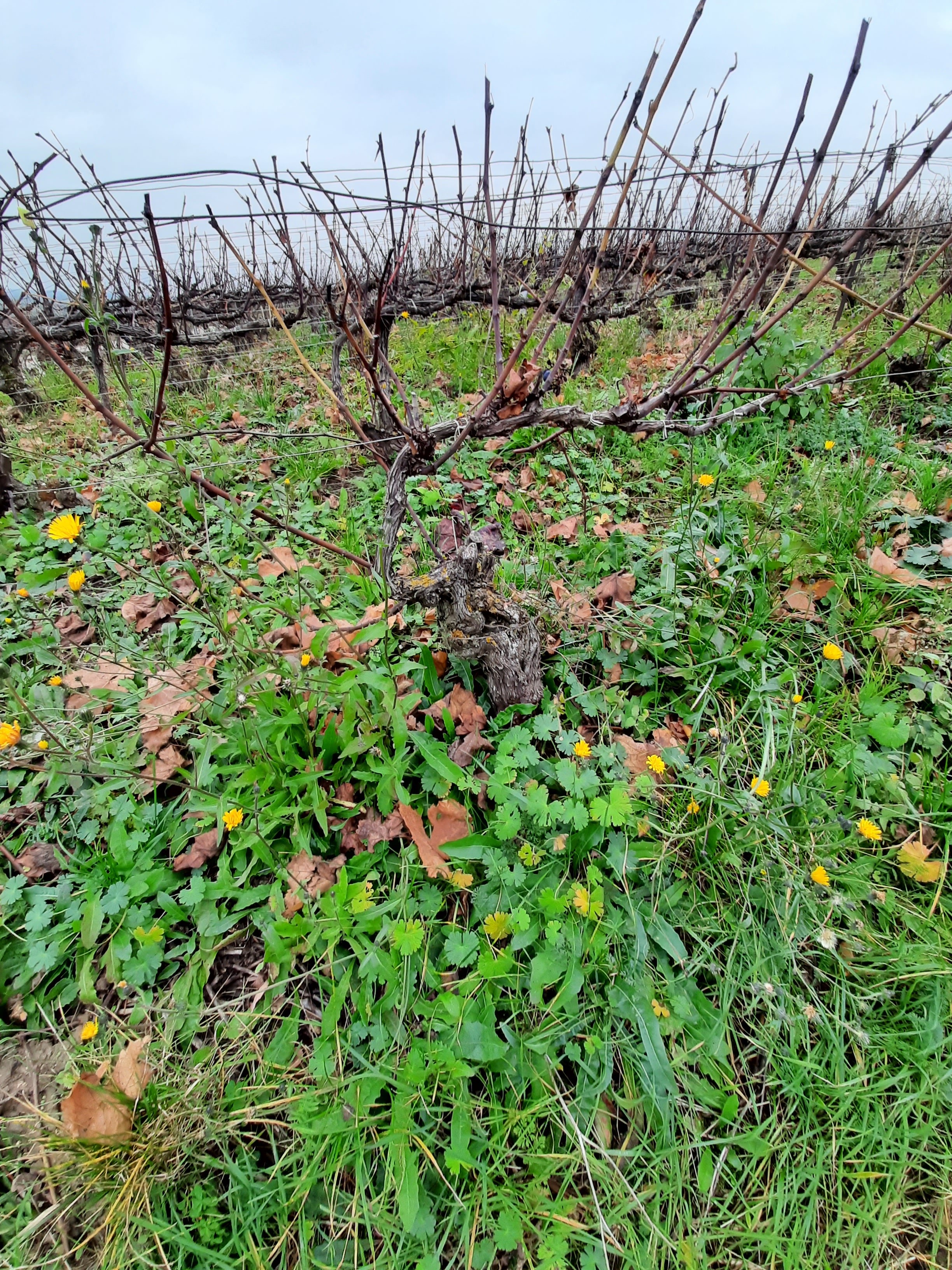 Photo n° 35 de l'avis de Stefano.a fait le 15/11/2021 à 18:24