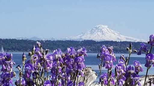 Park «Point Robinson Park», reviews and photos, 3705 SW Point Robinson Rd, Vashon, WA 98070, USA