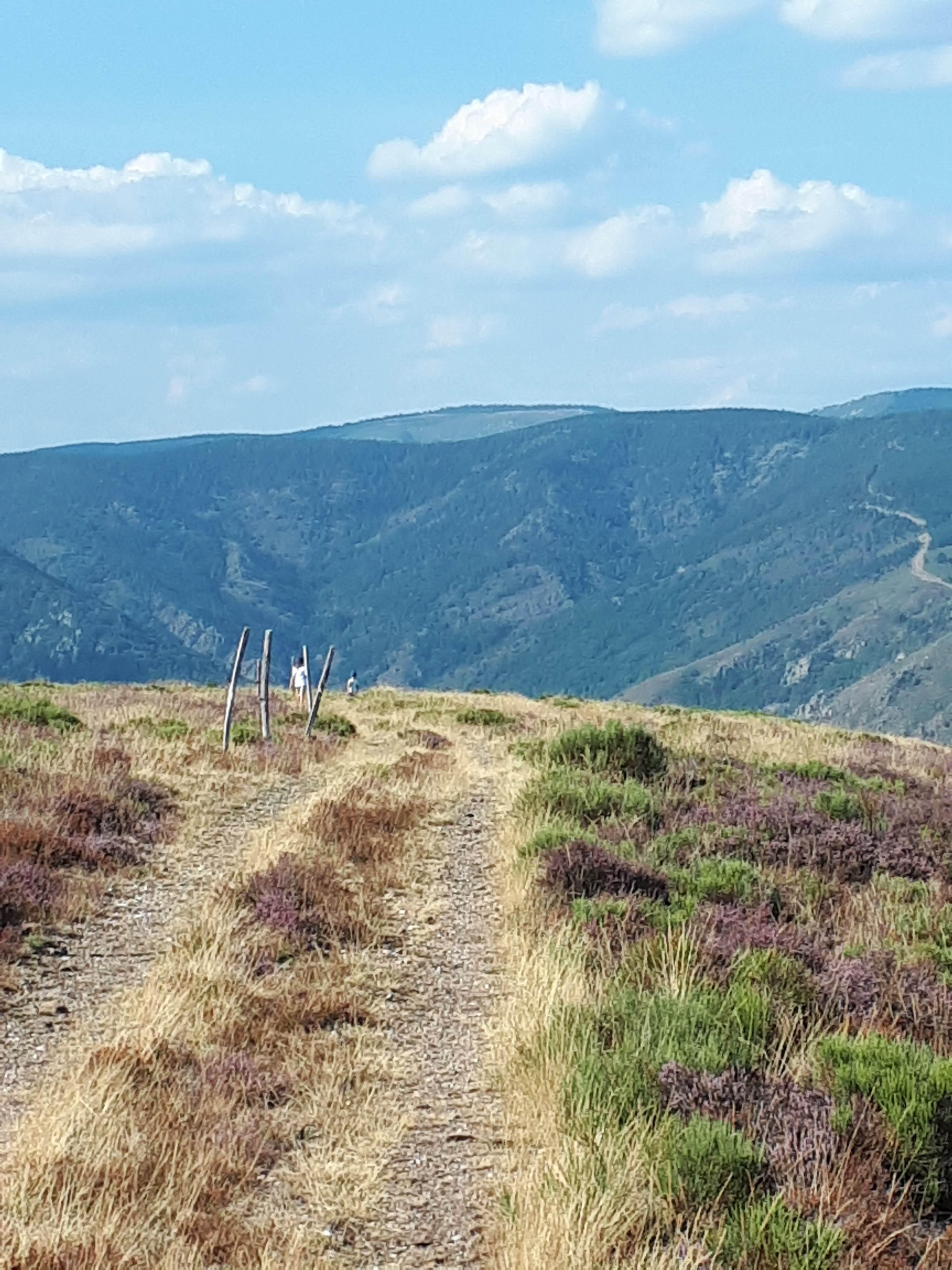Photo n° 2 de l'avis de Julien.o fait le 31/08/2019 à 11:26