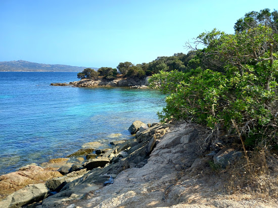 Testa Beach II