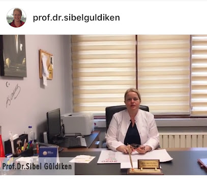 Profesör Doktor Sibel Güldiken, İç Hastalıkları ve Endokrinoloji