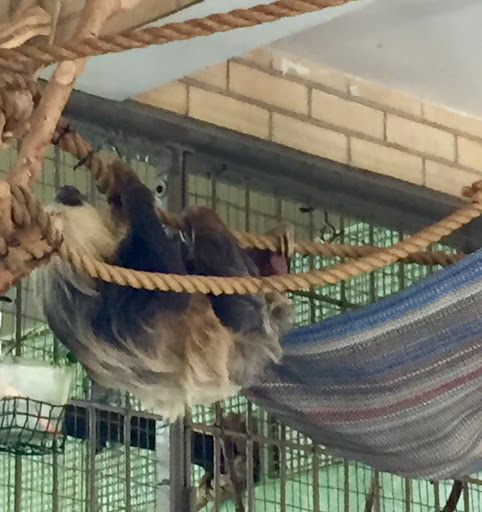 Country Club «Country Club of Colorado», reviews and photos, 125 Clubhouse Dr, Colorado Springs, CO 80906, USA