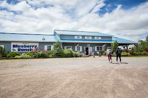 Hugli's Blueberry Ranch, Country Market & Play Park image