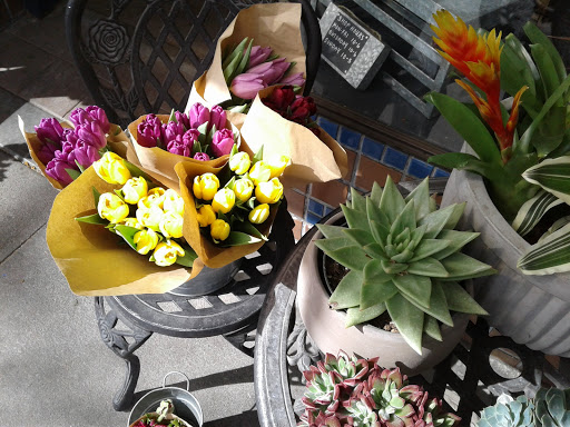 Florist «Wisteria Rockridge», reviews and photos, 6307 College Ave, Oakland, CA 94618, USA
