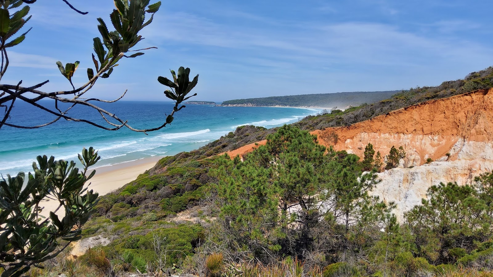 Pinnacles Beach'in fotoğrafı vahşi alan