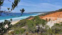Pinnacles Beach'in fotoğrafı vahşi alan