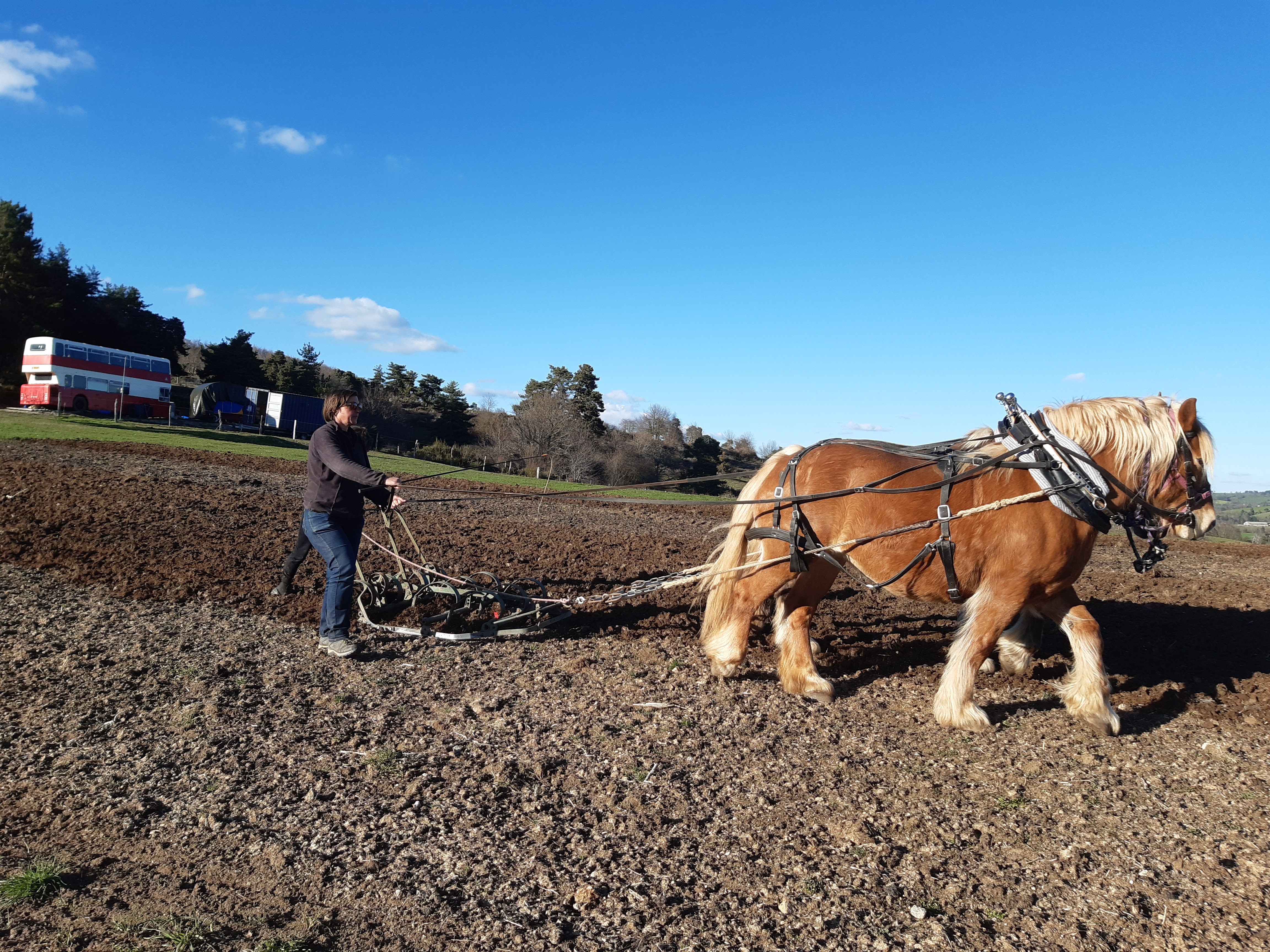 Photo n° 30 de l'avis de Laurent.o fait le 20/11/2023 à 22:32