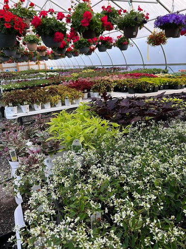 Florist «TG Designs», reviews and photos, 19231 Longmeadow Rd, Hagerstown, MD 21742, USA