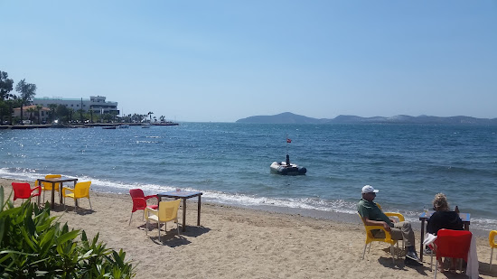 Monastery Beach