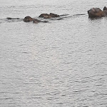 Photo n°3 de l'avis de Maria.e fait le 01/09/2021 à 20:18 sur le  Hotel La Vela à Pioppi