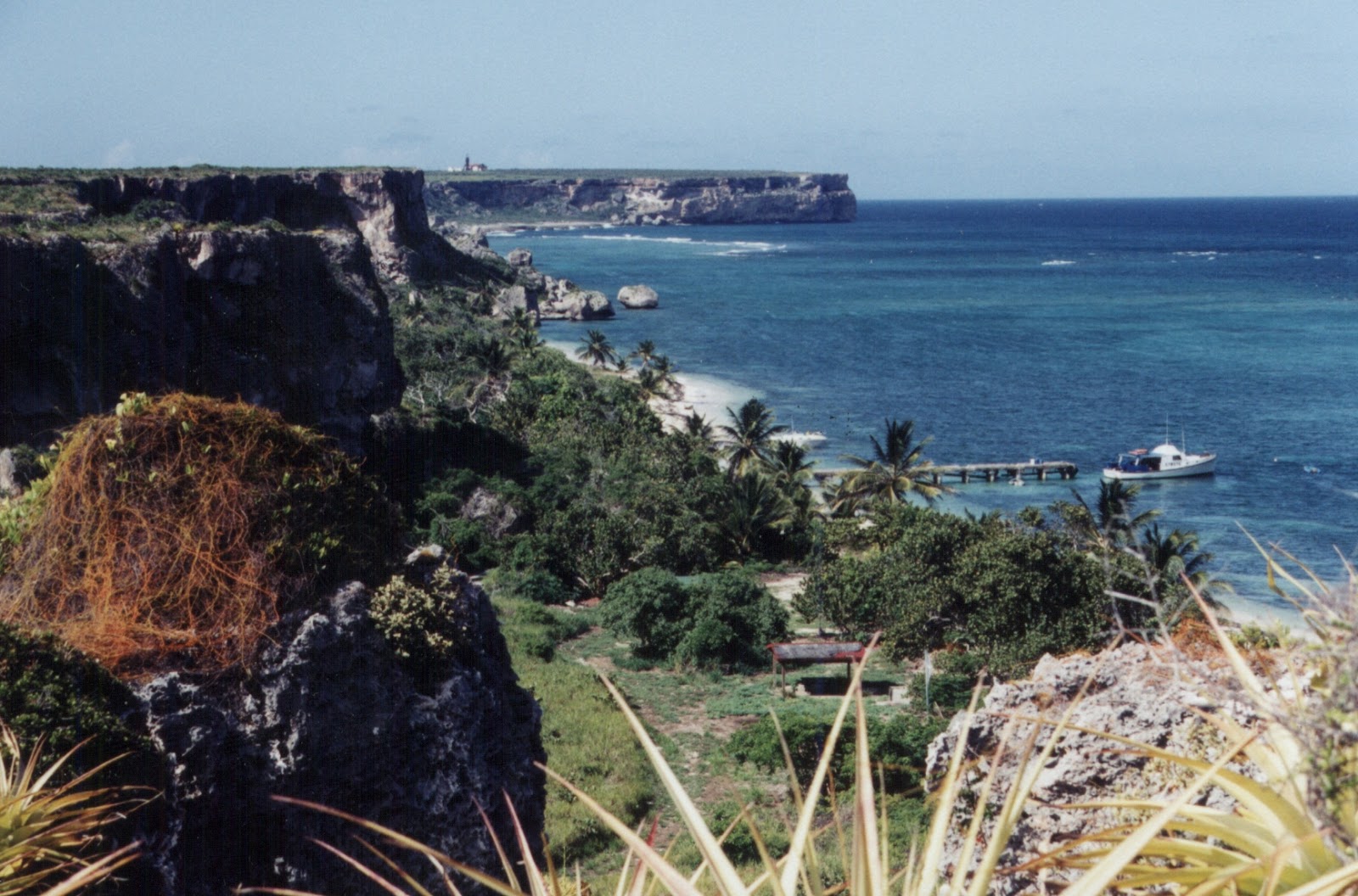 Photo of Pajaros beach wild area